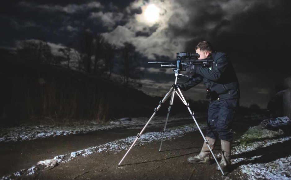 Rattenjacht rattenbestrijding Friesland